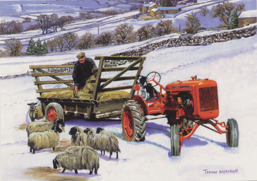Trevor Mitchell -Feeding The Flock - Allis-Chalmers Tractor