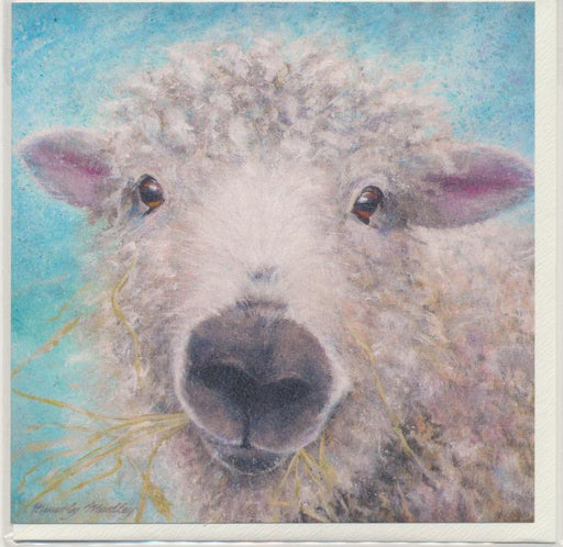 Bevley Madley - Greyface Dartmoor Ewe Sheep
