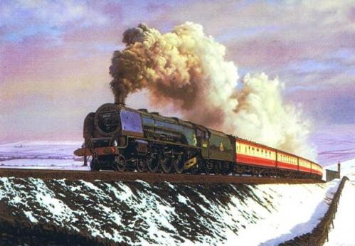 Malcolm Root - Climbing Shap - 46223 Duchess of Sutherland