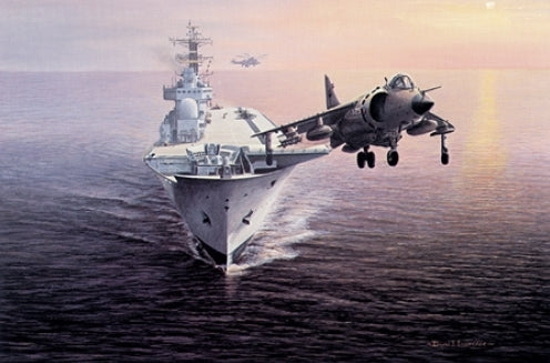 David Lawrence - Dawn Patrol - Hawker Sea Harrier FRS.1