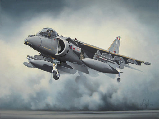 Harrier Rising - BAe Harrier GR9