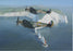 Roger H. Middlebrook - Patrolling the Needles - Supermarine Spitfire Card (W)