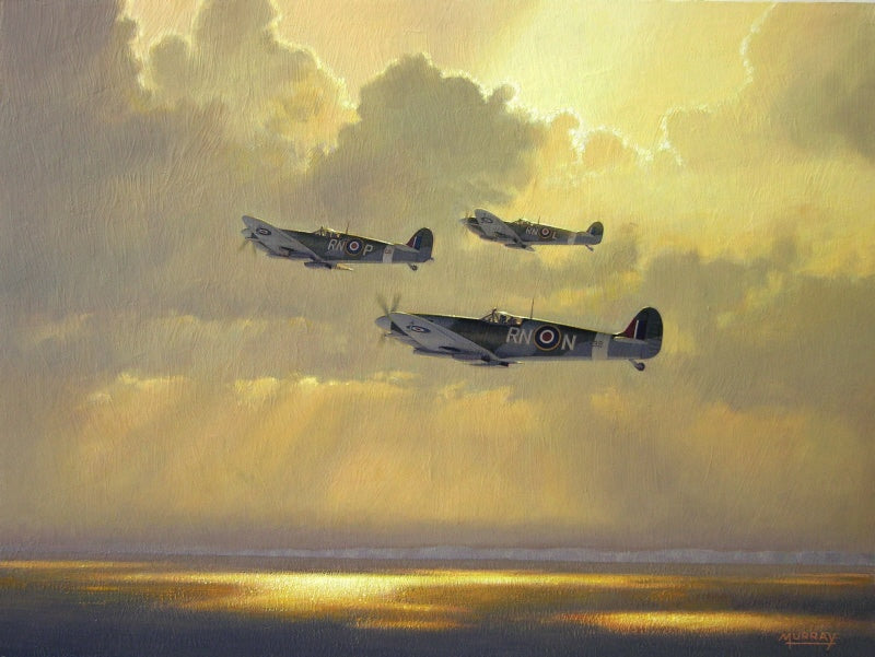 Roger Murray - Glory Days- Supermarine Spitfire Mk.IX (W)