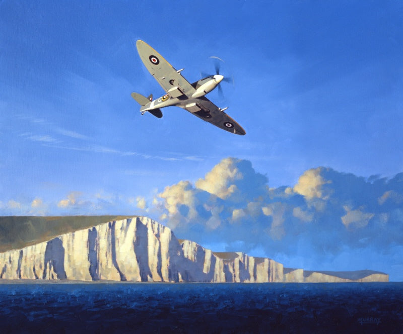 Guardian Of Our Shores - Supermarine Spitfire Mk.IX