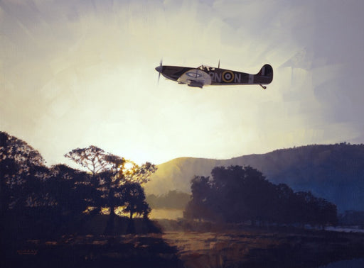 Morning Glory - Supermarine Spitfire Mk.V
