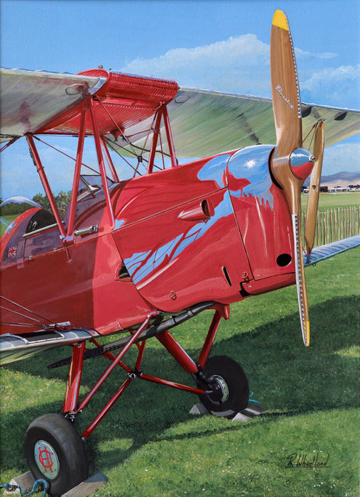 Moth Reflections - De Havilland Tiger Moth