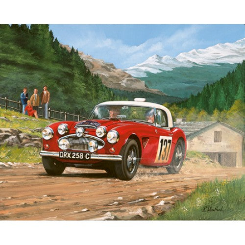 Richard Wheatland - Alpine Rally - Austin Healey