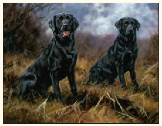 John Trickett- Awaiting Orders - Black Labrador