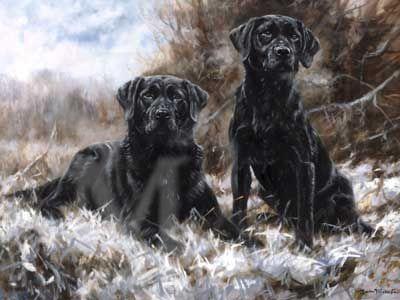 John Trickett - Breath of Winter - Black Labrador