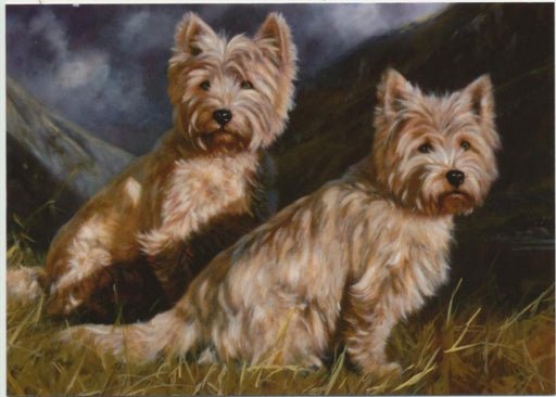 John Trickett - Highlanders - West Highland Terrier