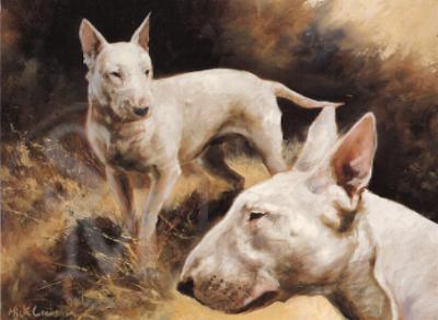 Mick Cawston - English Bull Terrier - Staffordshire Bull Terrier