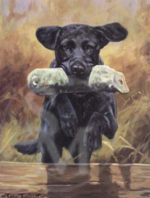 John Trickett- On Exercise - Black Labrador