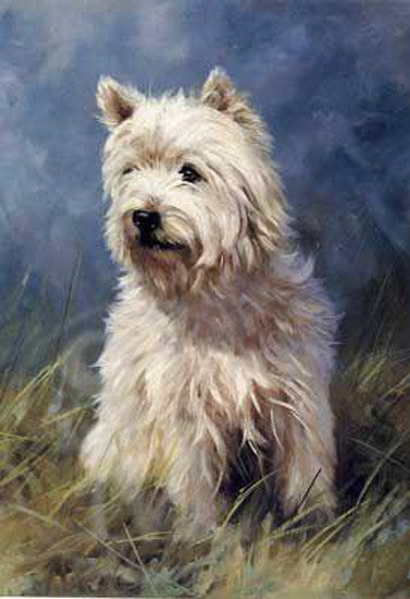 John Trickett - The Westie - West Highland Terrier