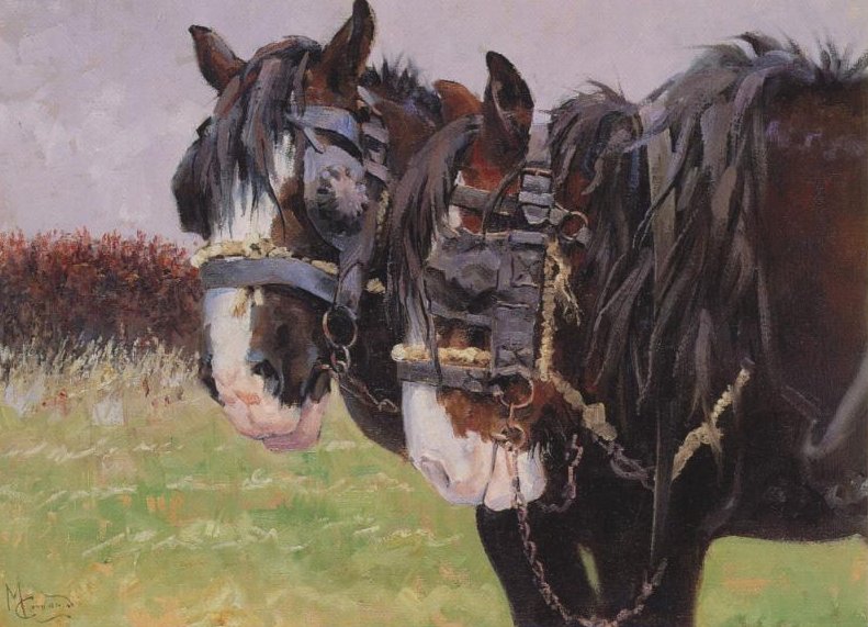 Malcolm Coward - The Workers - Shire Horses