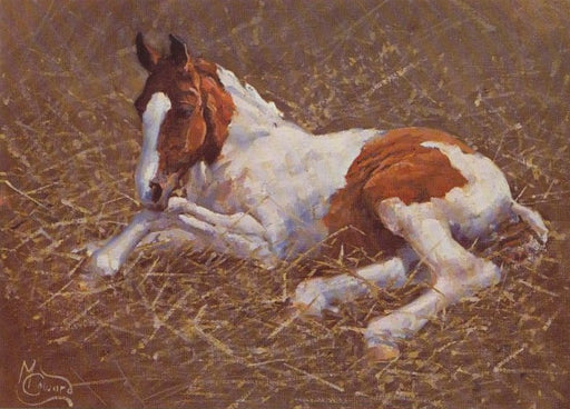 Malcolm Coward - Youth - Foal
