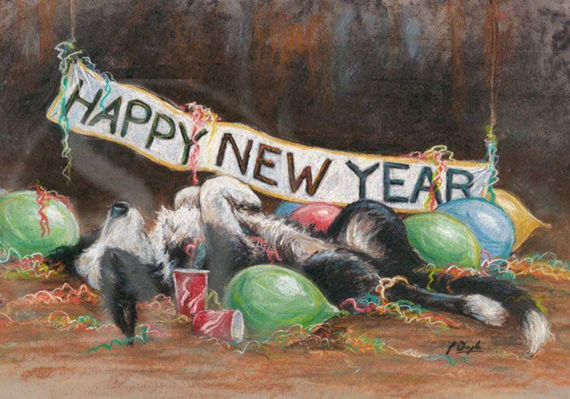 Paul Doyle - Party Animal - Border Collie