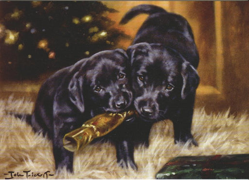 John Trickett - Christmas Cracker - Black Labrador