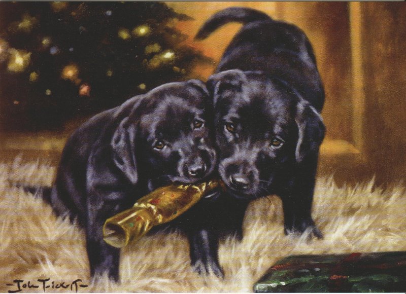 John Trickett - Christmas Cracker - Black Labrador