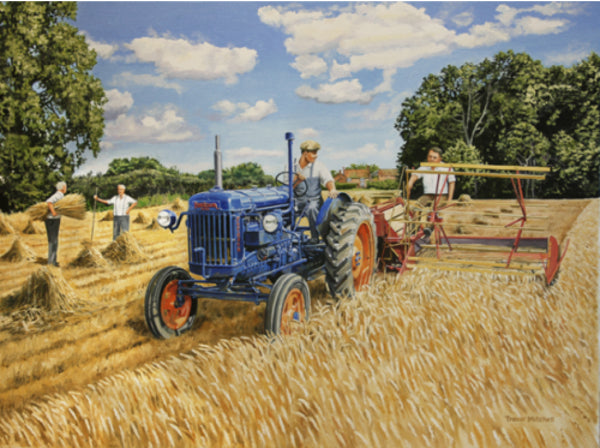 Trevor Mitchell - Harvesting with a Fordson Major
