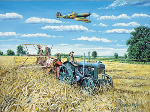 Trevor Mitchell - Harvesting Victory - Fordson & Spitfire Mk.I